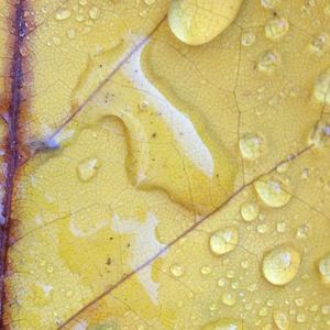 Meet your Posher, Hellooo